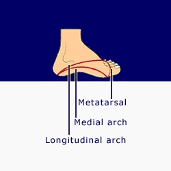 Foot/Postural Connection